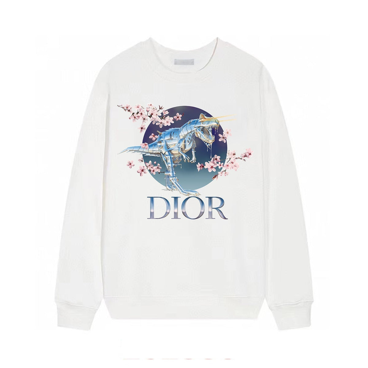 SORAYAMA DINOSAUR printed sweatshirt